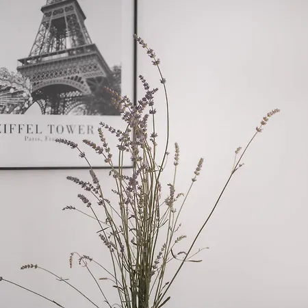 Апартаменты Riverside - - Cozy Ujtelep