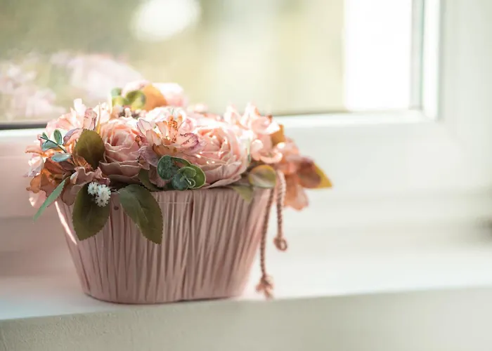 Riverside - - Cozy Apartament